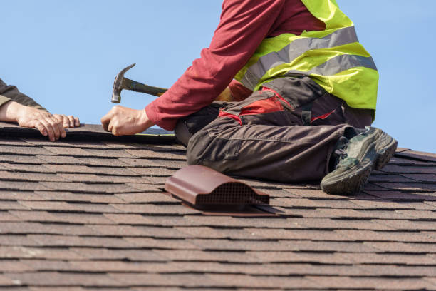 Best Storm Damage Roof Repair  in Stapleton, AL