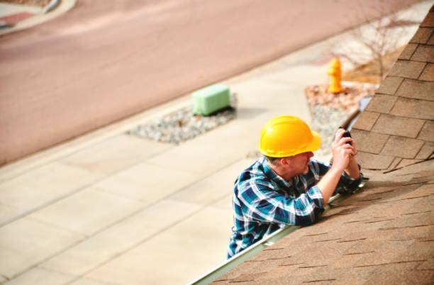 Professional Roofing Contractor in Stapleton, AL